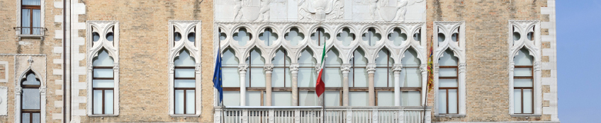 Polifora palazzo Ca' Foscari