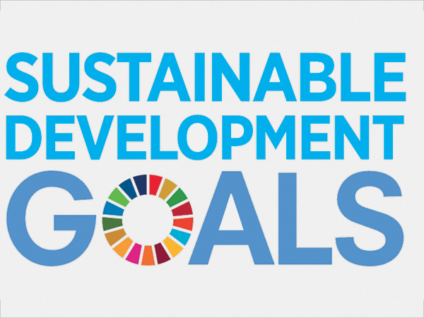 The Sustainable Development Agenda