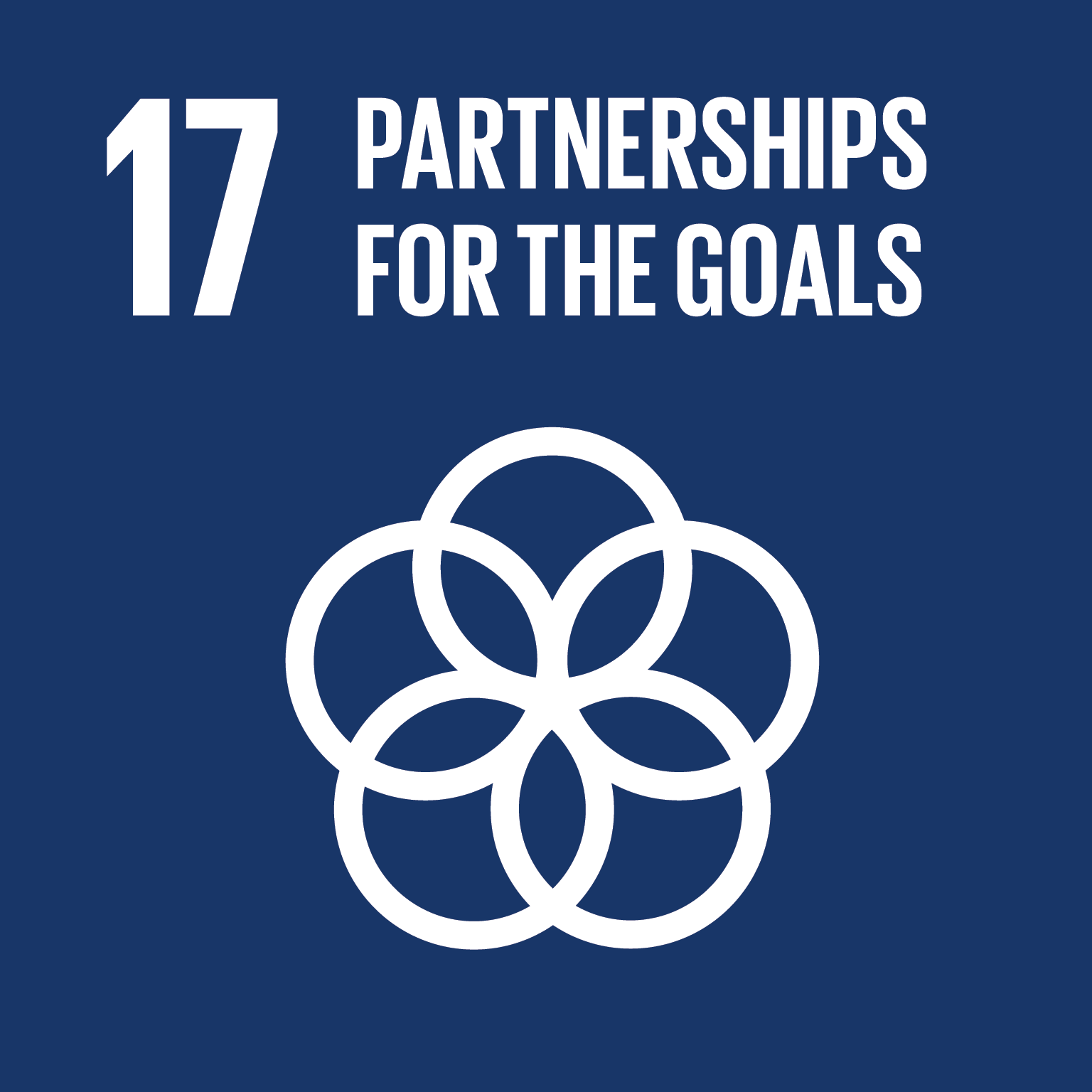 Goal 17 - partnerships for the goals