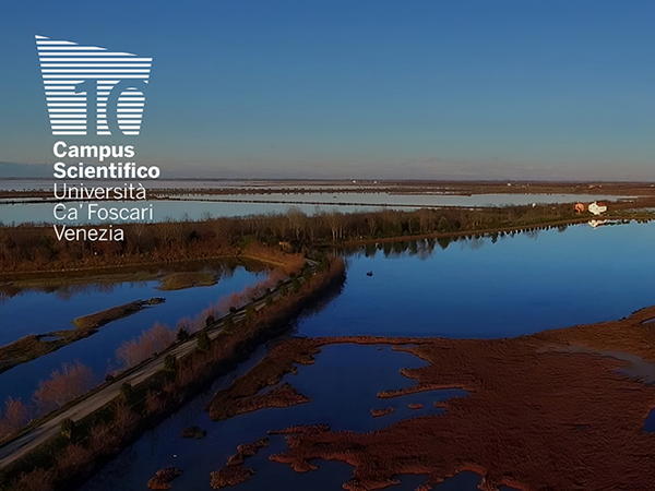 Come sta cambiando l'ecologia della laguna di Venezia?