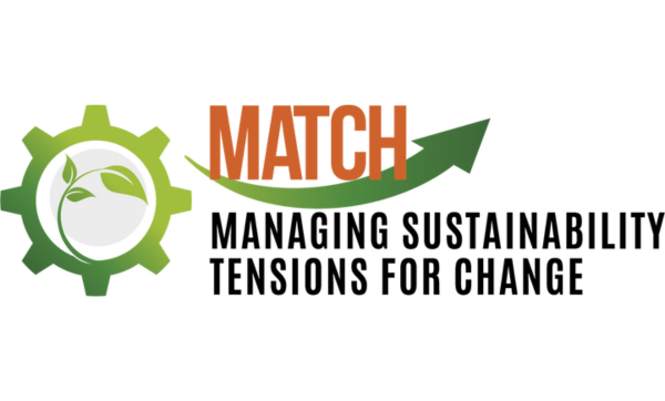 match managing sustainability tensions for change