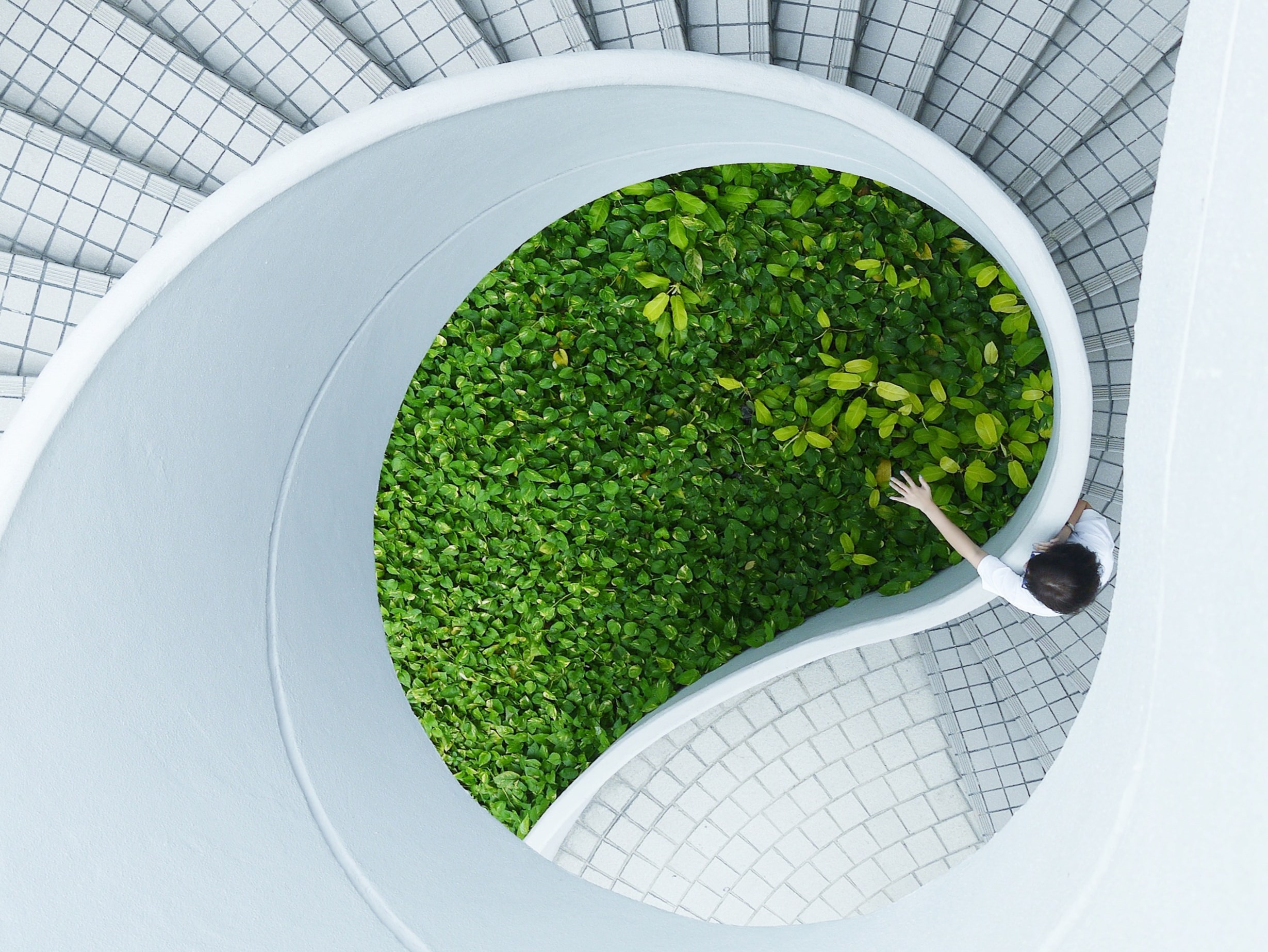 Person on spiral stairs stretching towards plants