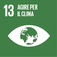 Obiettivo 13: agire per il clima